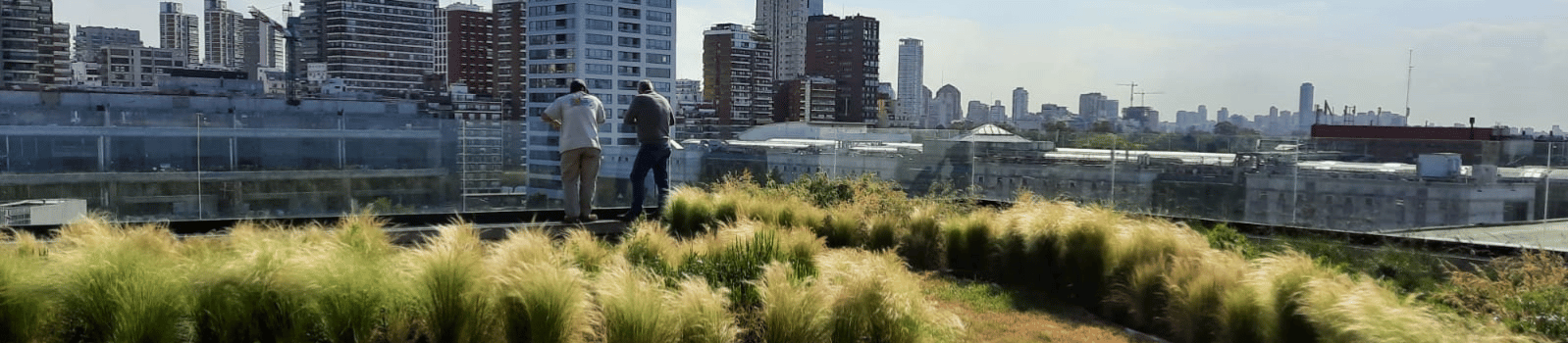 Terraza Verde ZinCo Argentina