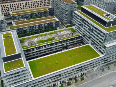 Cubierta verde, terraza verde ZinCo Canadá